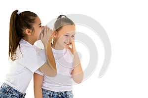 Two cheerful little girls share secrets in each other s ear.