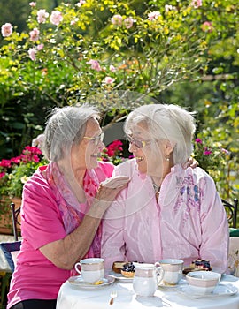 Two cheerful senior women having tea in garden