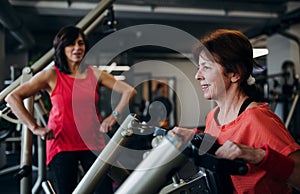 Two cheerful senior women in gym doing strength workout exercise.