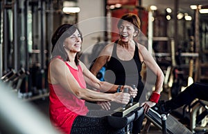 Two cheerful senior women in gym doing strength workout exercise.