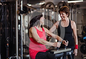 Two cheerful seniors women in gym doing strength workout exercise.