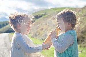 Two cheerful toddler girls on country road