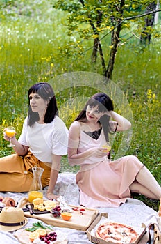 Two cheerful young fashionable women having picnic on sunny day