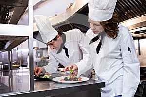 Two chefs garnishing meal on counter