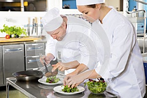 Two chefs prepares steak dish at gourmet restaurant