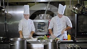 Two chefs at work in a restaurant. Cooking process concept.