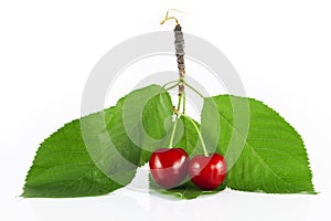 Two cherries