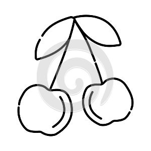 Two cherries black line illustration