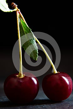Two cherries on a branch close-up on a dark background. Still life in a low key