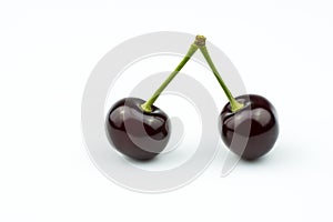 Two cherries on a branch isolated on a white background