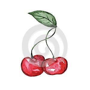 Two cherries on branch watercolor for design isolated on white background, fresh cherry berries sketch watercolor