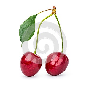 Two cherries isolated photo