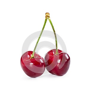 Two cherries isolated on white