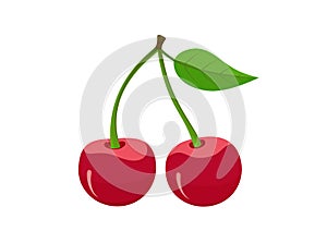 Two cherries with leaf isolated vector fruit