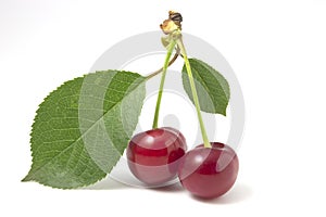 Two cherries with leaves isolated on white background. Red ripe berries with petioles