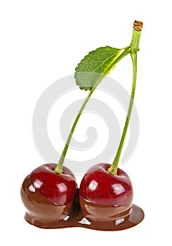 Two cherries in milk chocolate on white background