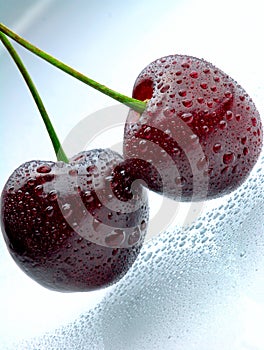 Two cherries with waterdrops on light blue surface photo