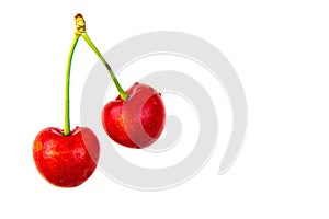 Two cherries on white isolated background.