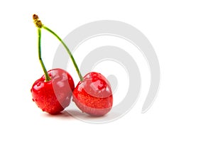 Two cherries on white isolated background.