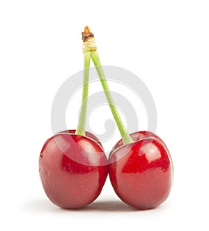 Two Cherries white isolated