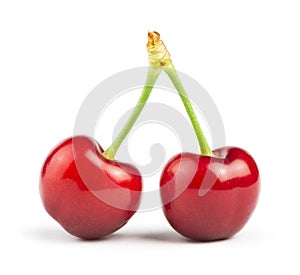 Two Cherries white