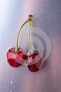 Two cherry berries with stem on shiny silver background