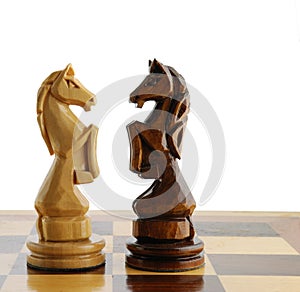 Two chess horse