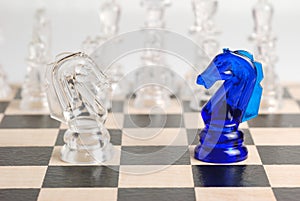 Two chess horse