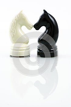 Two chess horse with reflection
