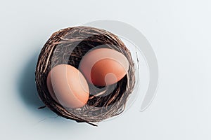 Two chicken brown eggs lie in the nest