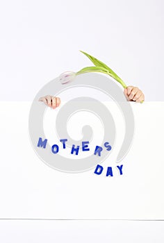 Two childhood hands holding white board with blue text Mothers day and one white and violet tulip