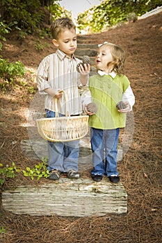 Two Children with Basket Collecting Pine Cones