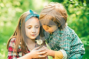 Two children blowing dandelion in the park. Enjoy Nature.