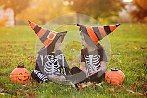 Two children, boy brothers in the park with Halloween costumes