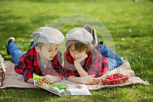 Two children, boy brothers, reading a book and eating strawberries in the park