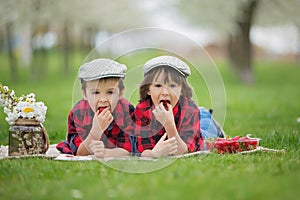 Two children, boy brothers, reading a book and eating strawberries in the park