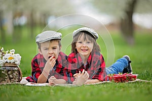 Two children, boy brothers, reading a book and eating strawberries in the park