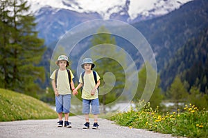 Two children, boy brothers, walking on a little path in Swiss Al