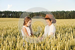 Two children boy and girl examine ears of corn on a wheat field