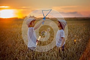 Two children, boys, chasing soap bubbles in a wheat field on sun