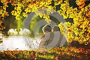 Two children, boys, sitting on the edge of a lake on a sunny autumn