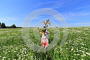 Two children in a chamomile field fly a kite in the sky.