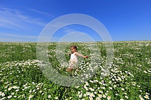 Two children in a chamomile field fly a kite in the sky.