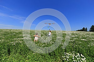 Two children in a chamomile field fly a kite in the sky.