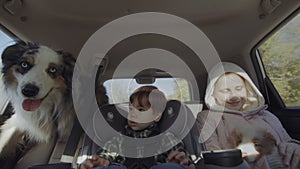 Two children, a dog and a puppy ride in the back seat of a car. A fun trip with children and pets