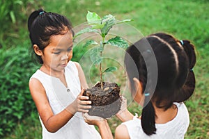 Two children girl holding the young tree for planting together