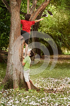 Due aiutiamo un sul un albero nel parco 