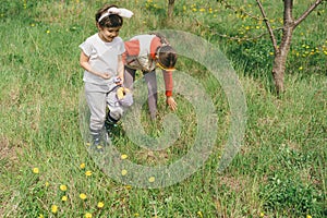 Two children hunt for Easter eggs in a spring garden. Easter tradition