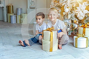 Two children near Christmas tree at home