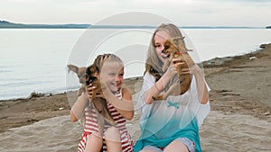 Two children playing which dogs on the sand on the beach.